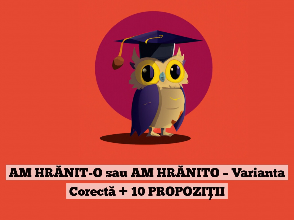 AM HRĂNIT-O sau AM HRĂNITO – Varianta Corectă + 10 PROPOZIȚII