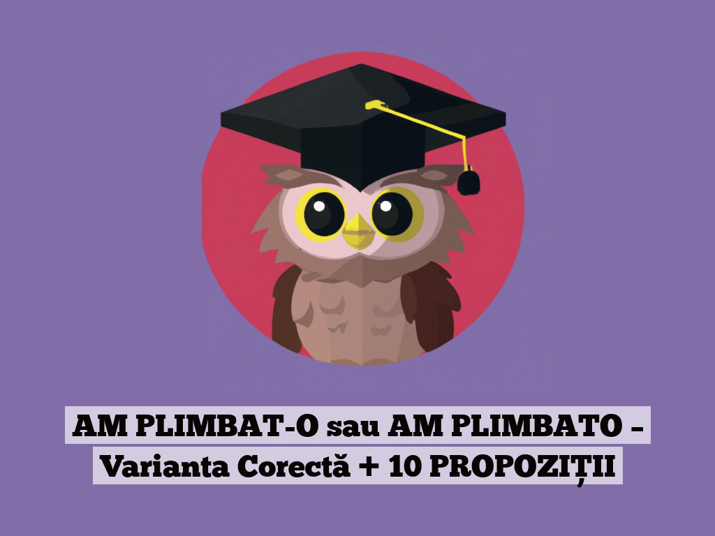 AM PLIMBAT-O sau AM PLIMBATO – Varianta Corectă + 10 PROPOZIȚII