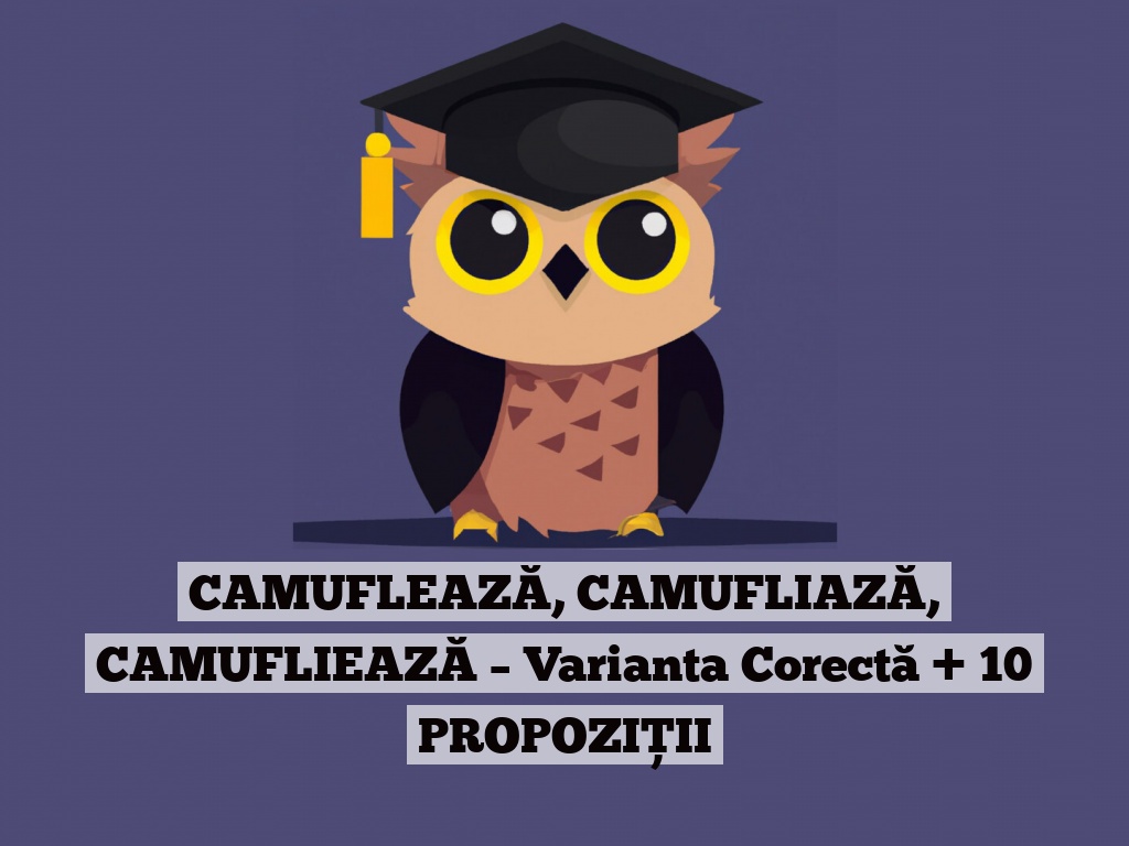 CAMUFLEAZĂ, CAMUFLIAZĂ, CAMUFLIEAZĂ – Varianta Corectă + 10 PROPOZIȚII