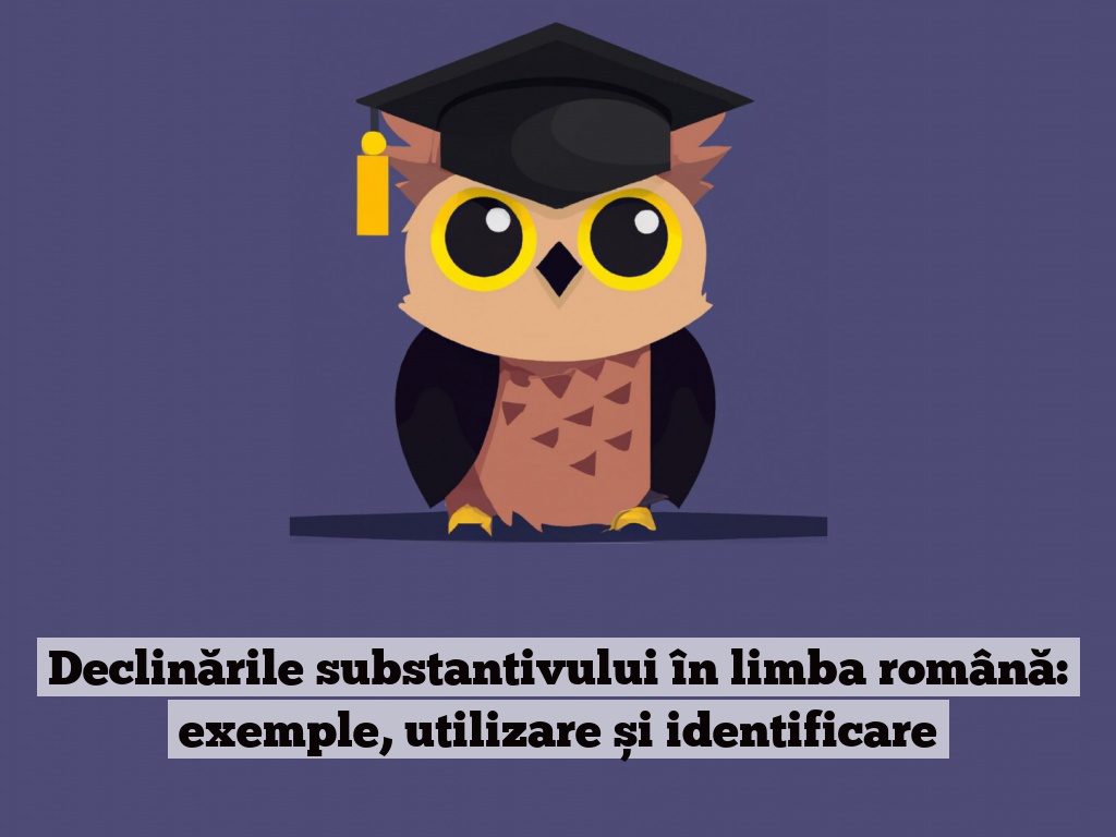 Declinările substantivului în limba română: exemple, utilizare și identificare