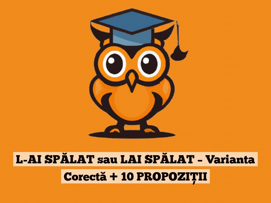 L-AI SPĂLAT sau LAI SPĂLAT – Varianta Corectă + 10 PROPOZIȚII