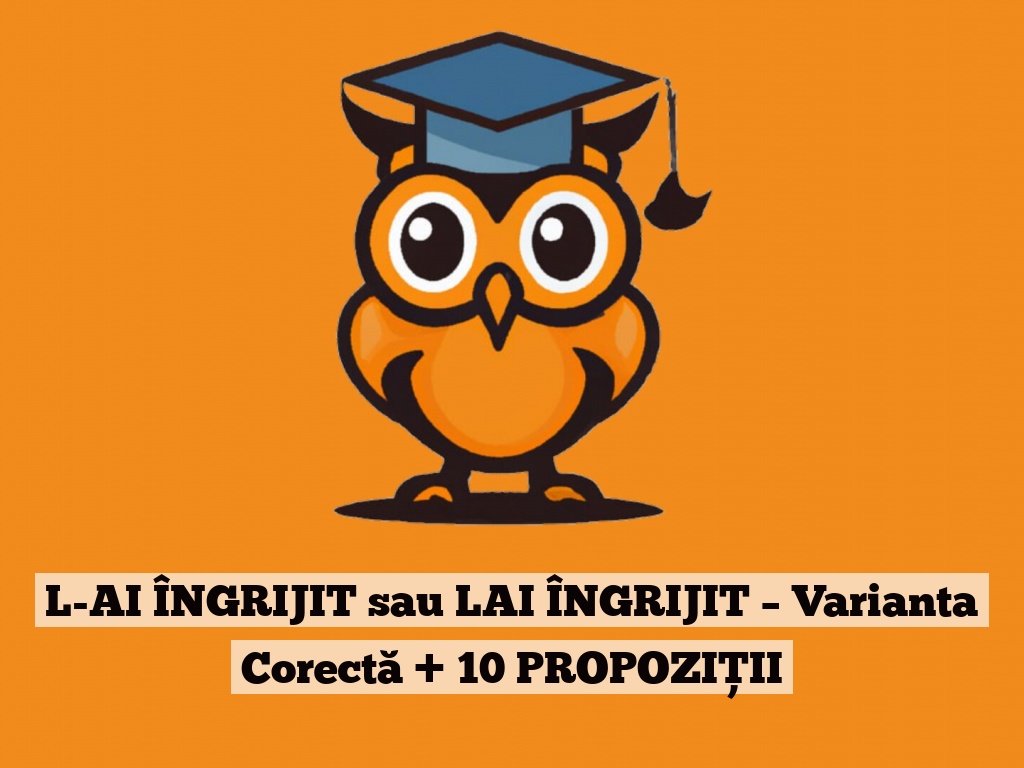 L-AI ÎNGRIJIT sau LAI ÎNGRIJIT – Varianta Corectă + 10 PROPOZIȚII