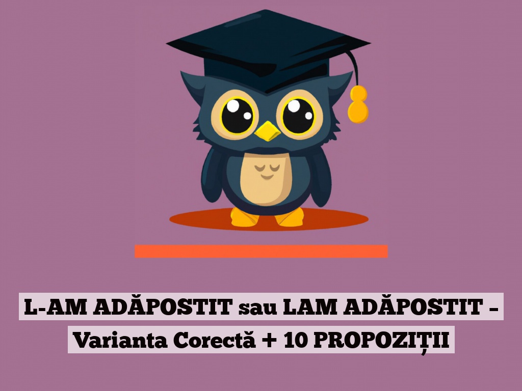 L-AM ADĂPOSTIT sau LAM ADĂPOSTIT – Varianta Corectă + 10 PROPOZIȚII