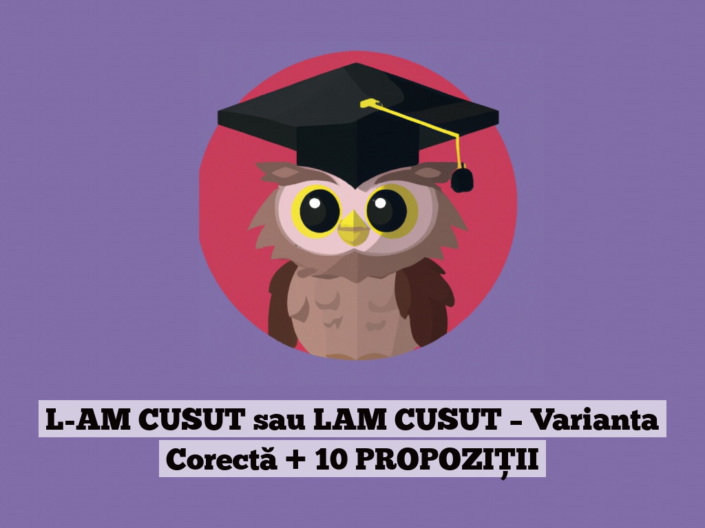 L-AM CUSUT sau LAM CUSUT – Varianta Corectă + 10 PROPOZIȚII