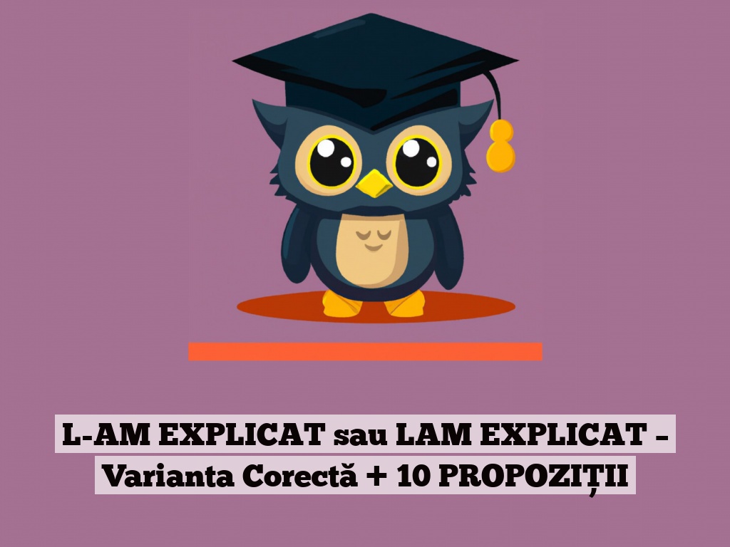 L-AM EXPLICAT sau LAM EXPLICAT – Varianta Corectă + 10 PROPOZIȚII