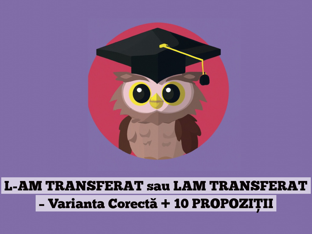 L-AM TRANSFERAT sau LAM TRANSFERAT – Varianta Corectă + 10 PROPOZIȚII