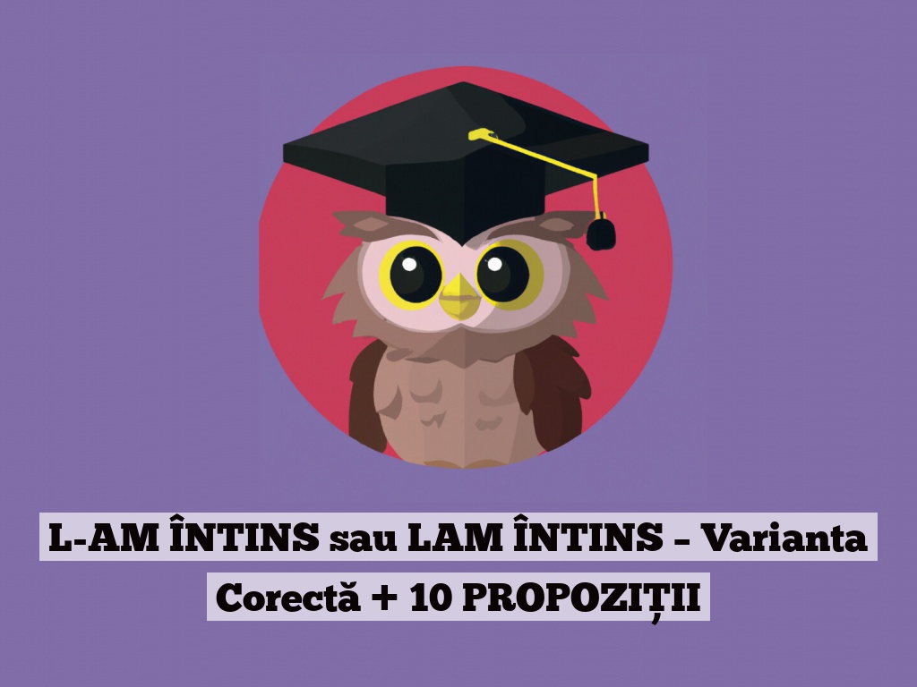 L-AM ÎNTINS sau LAM ÎNTINS – Varianta Corectă + 10 PROPOZIȚII