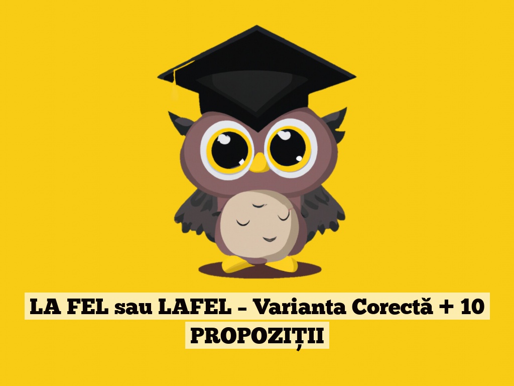 LA FEL sau LAFEL – Varianta Corectă + 10 PROPOZIȚII