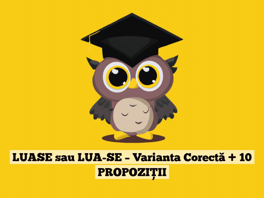 LUASE sau LUA-SE – Varianta Corectă + 10 PROPOZIȚII