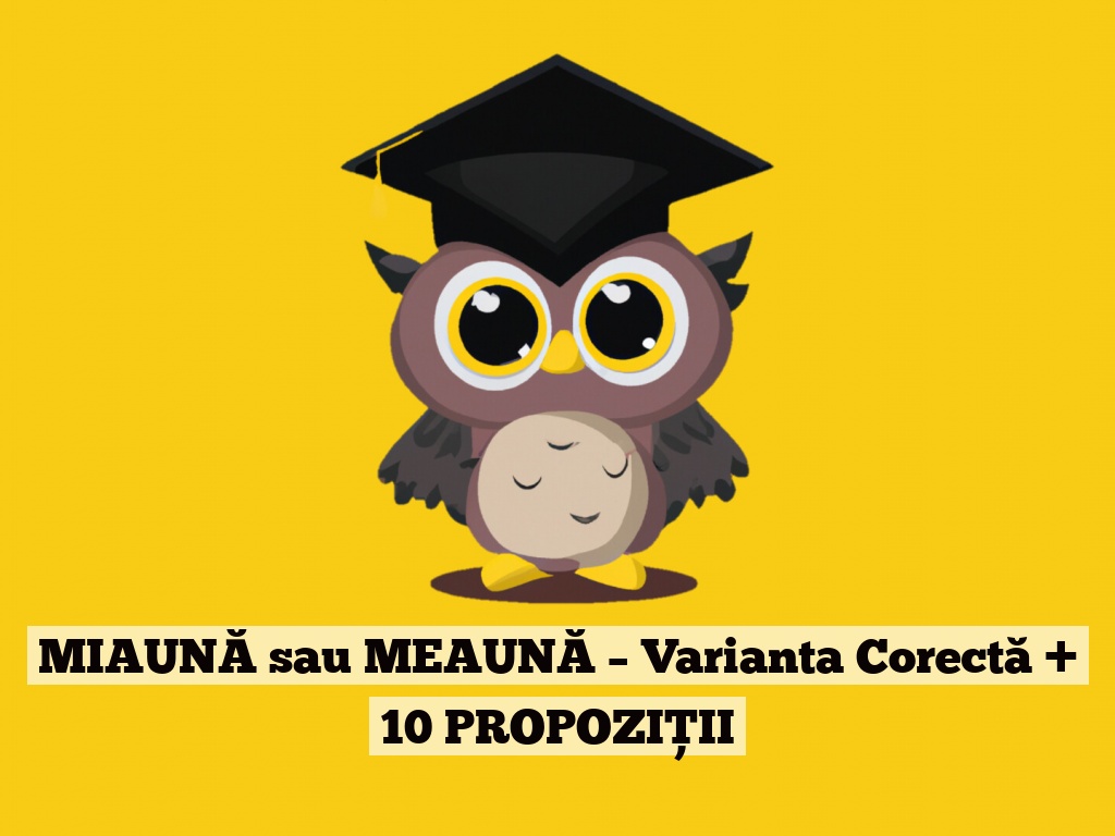 MIAUNĂ sau MEAUNĂ – Varianta Corectă + 10 PROPOZIȚII