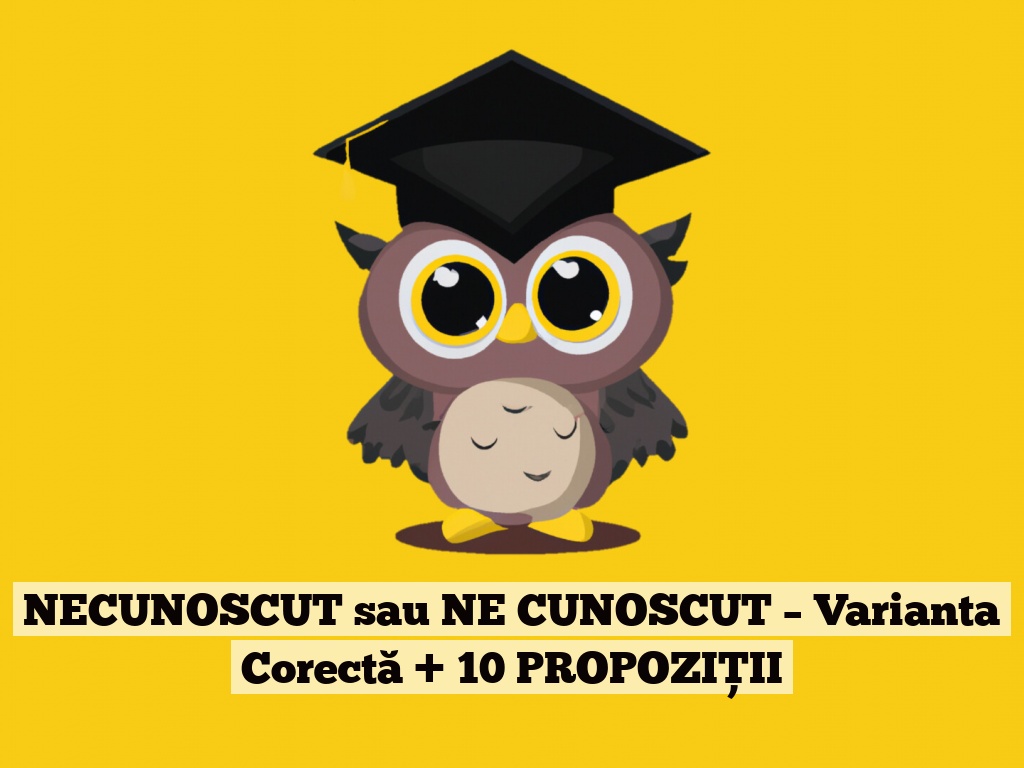 NECUNOSCUT sau NE CUNOSCUT – Varianta Corectă + 10 PROPOZIȚII