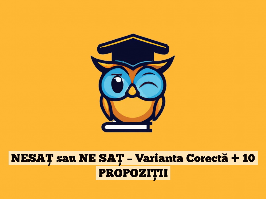 NESAȚ sau NE SAȚ – Varianta Corectă + 10 PROPOZIȚII