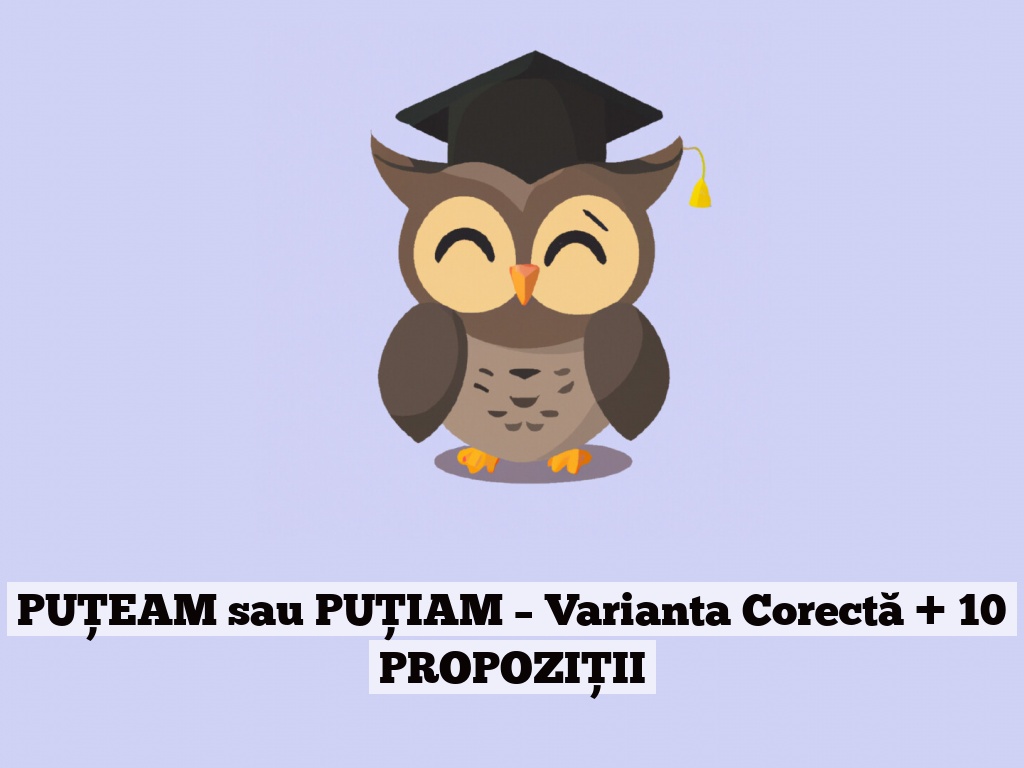 PUȚEAM sau PUȚIAM – Varianta Corectă + 10 PROPOZIȚII