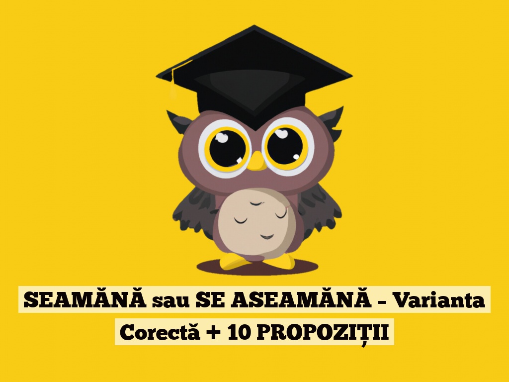 SEAMĂNĂ sau SE ASEAMĂNĂ – Varianta Corectă + 10 PROPOZIȚII