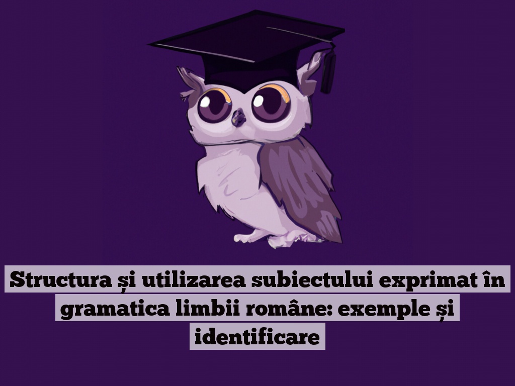 Structura și utilizarea subiectului exprimat în gramatica limbii române: exemple și identificare