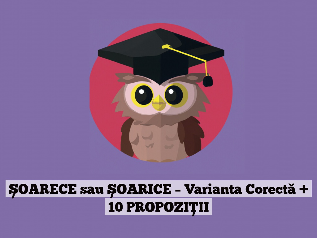 ȘOARECE sau ȘOARICE – Varianta Corectă + 10 PROPOZIȚII